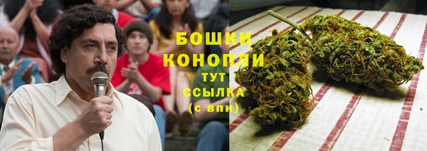 каннабис Алзамай
