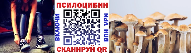 купить  цена  Нерехта  Псилоцибиновые грибы Magic Shrooms 